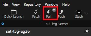 Fork toolbar showing 11 pending updates over the Pull button